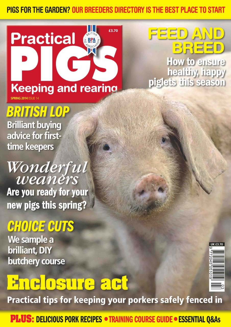 Practical Pigs Preview Pages
