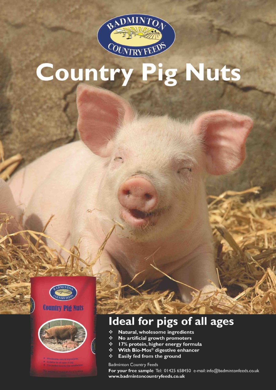 Practical Pigs Preview Pages