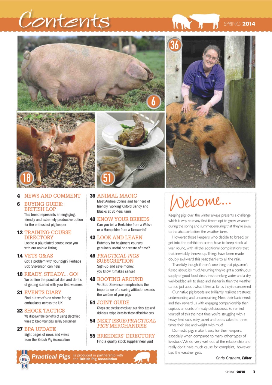 Practical Pigs Preview Pages