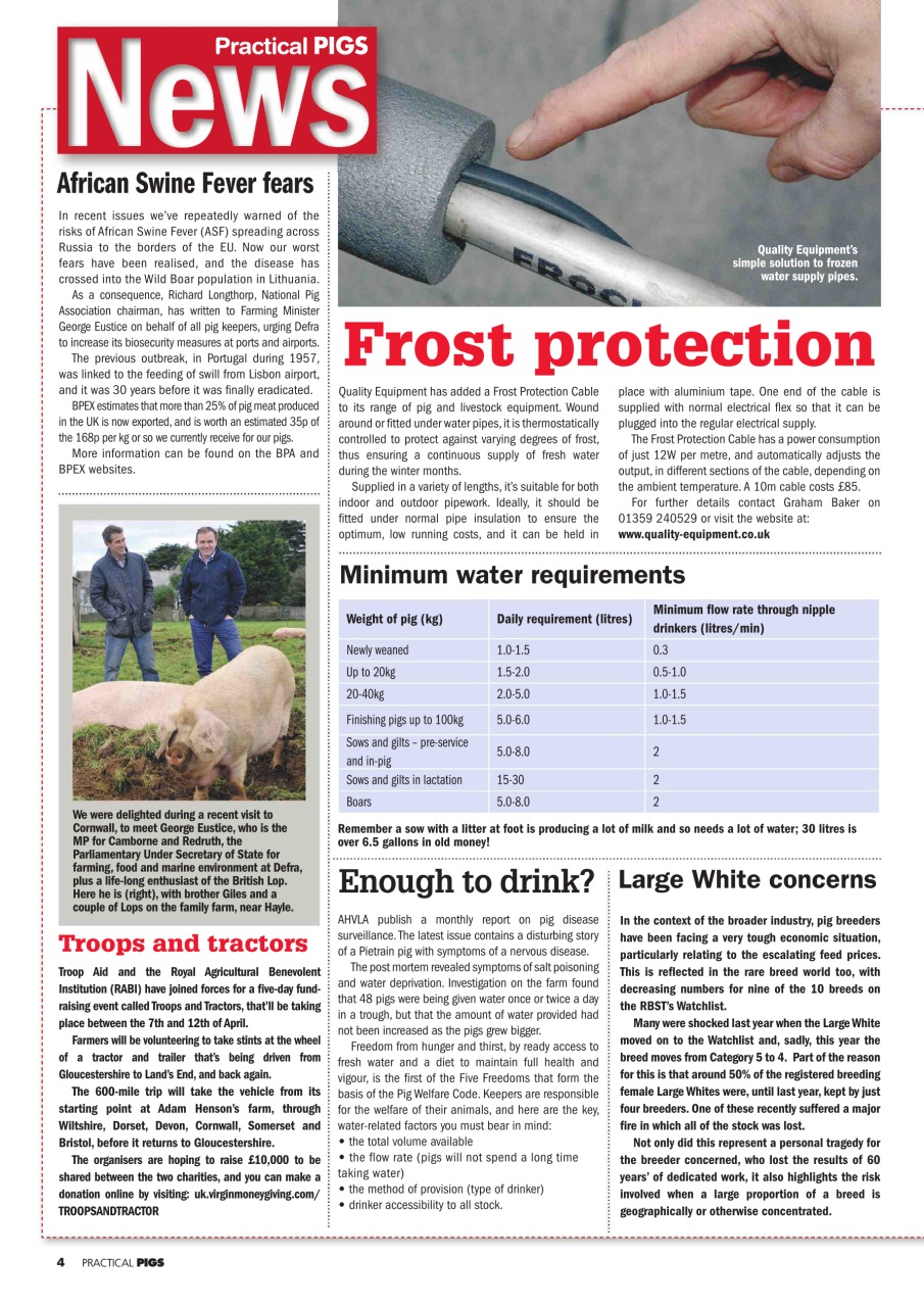 Practical Pigs Preview Pages