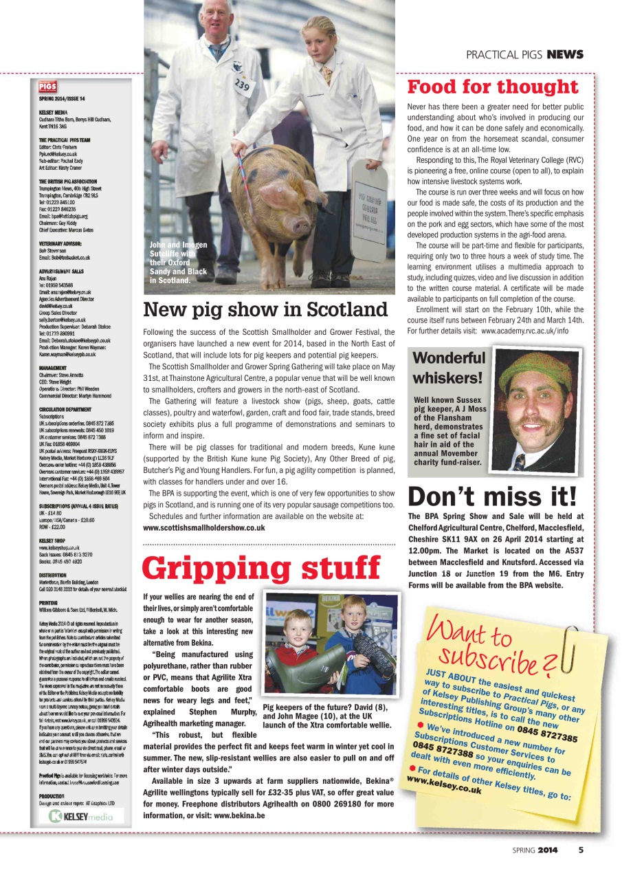 Practical Pigs Preview Pages