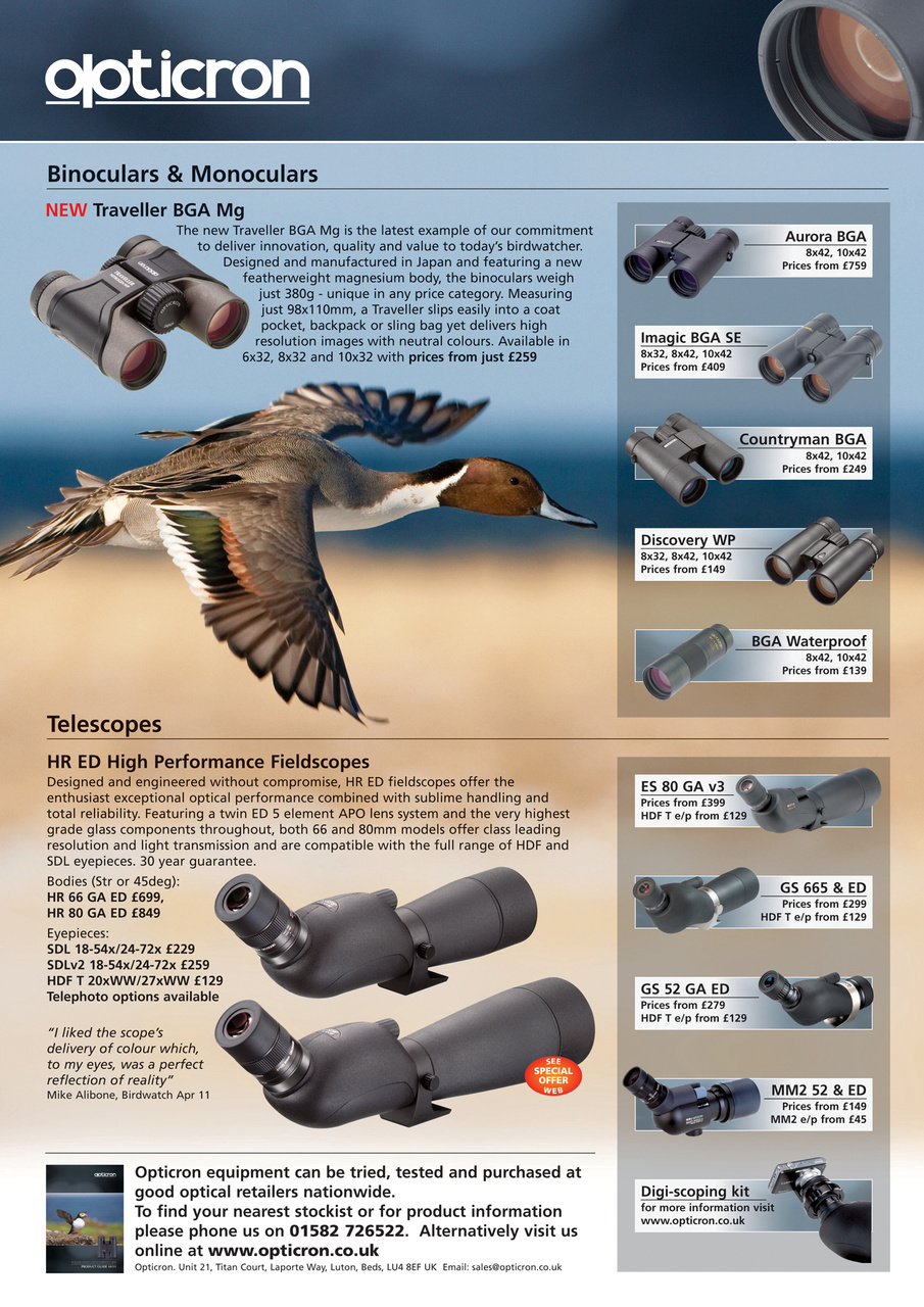 Birdwatch Magazine Preview Pages