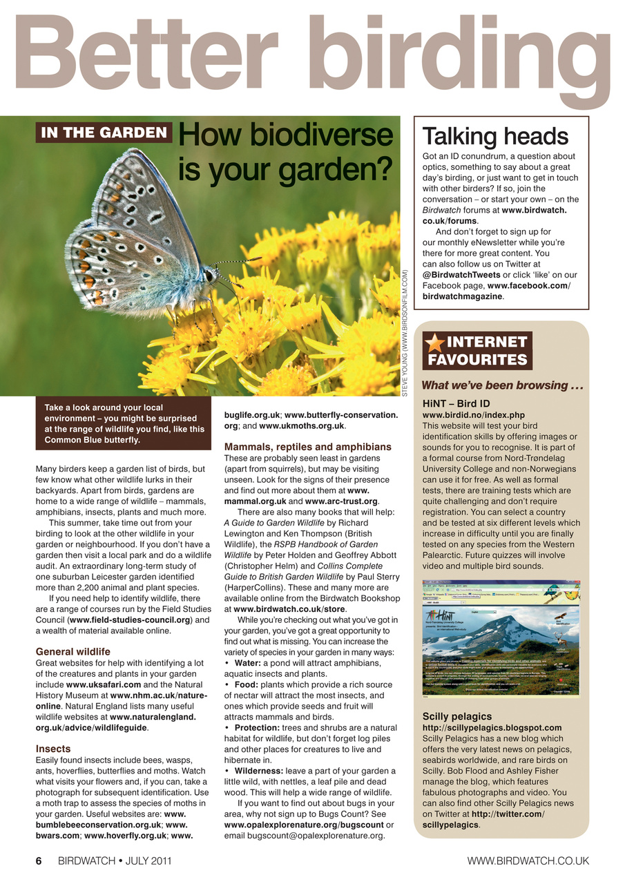 Birdwatch Magazine Preview Pages