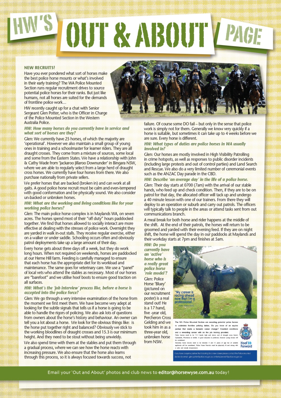 HorseWyse Magazine Preview Pages