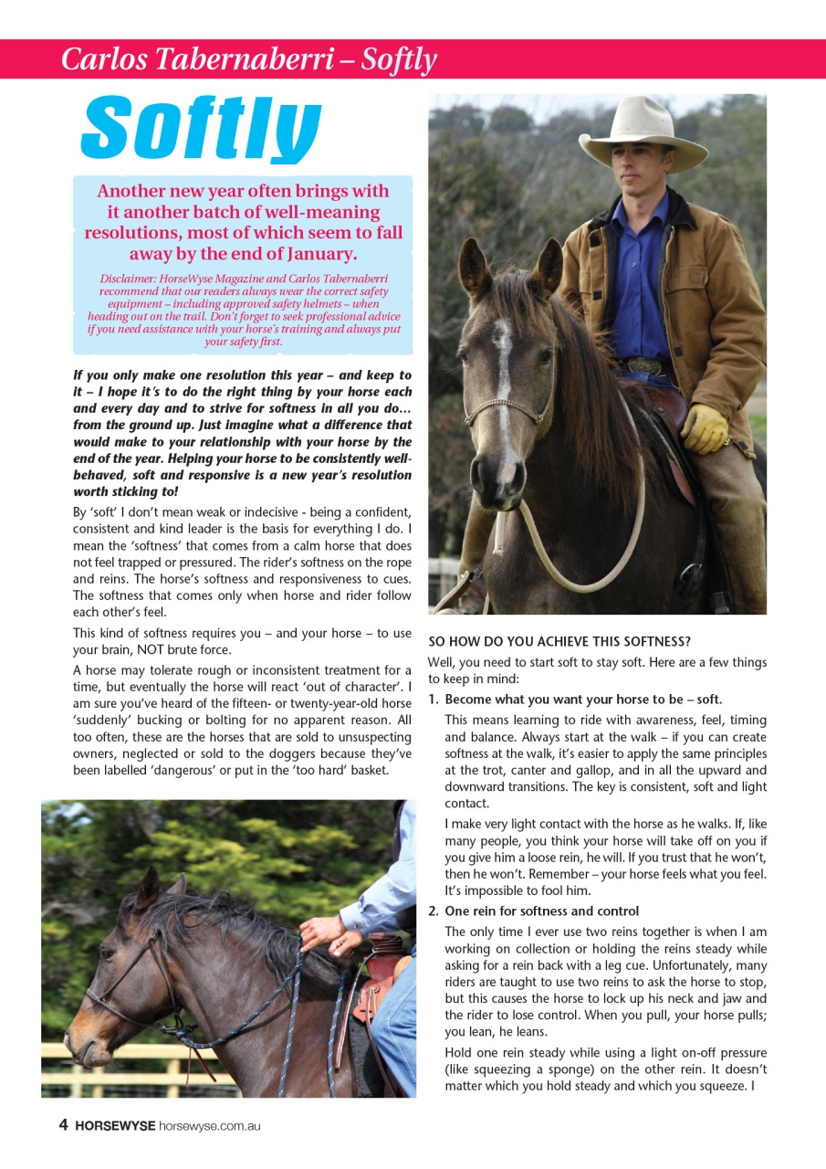 HorseWyse Magazine Preview Pages