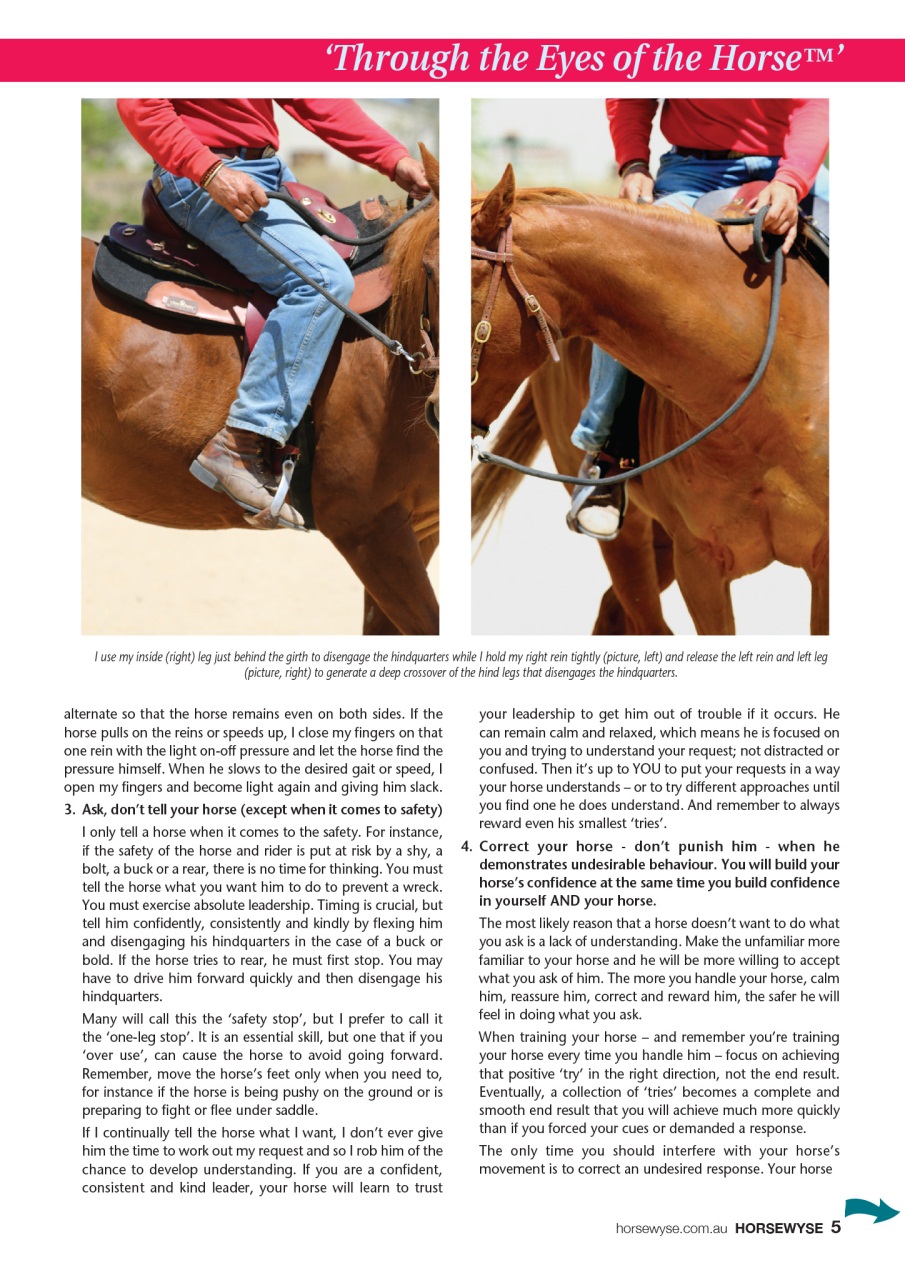 HorseWyse Magazine Preview Pages