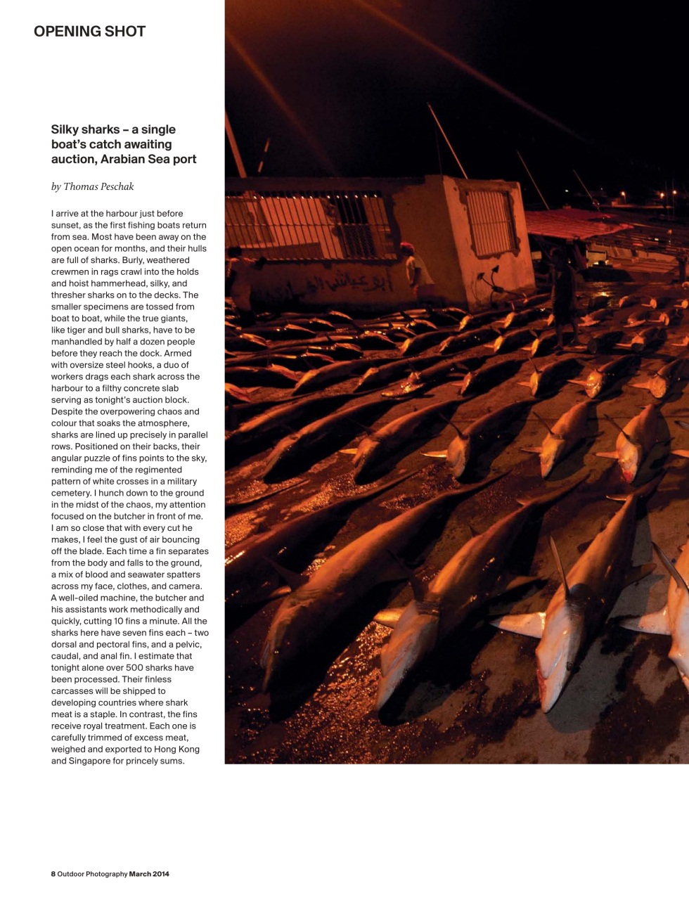 Outdoor Photography Preview Pages