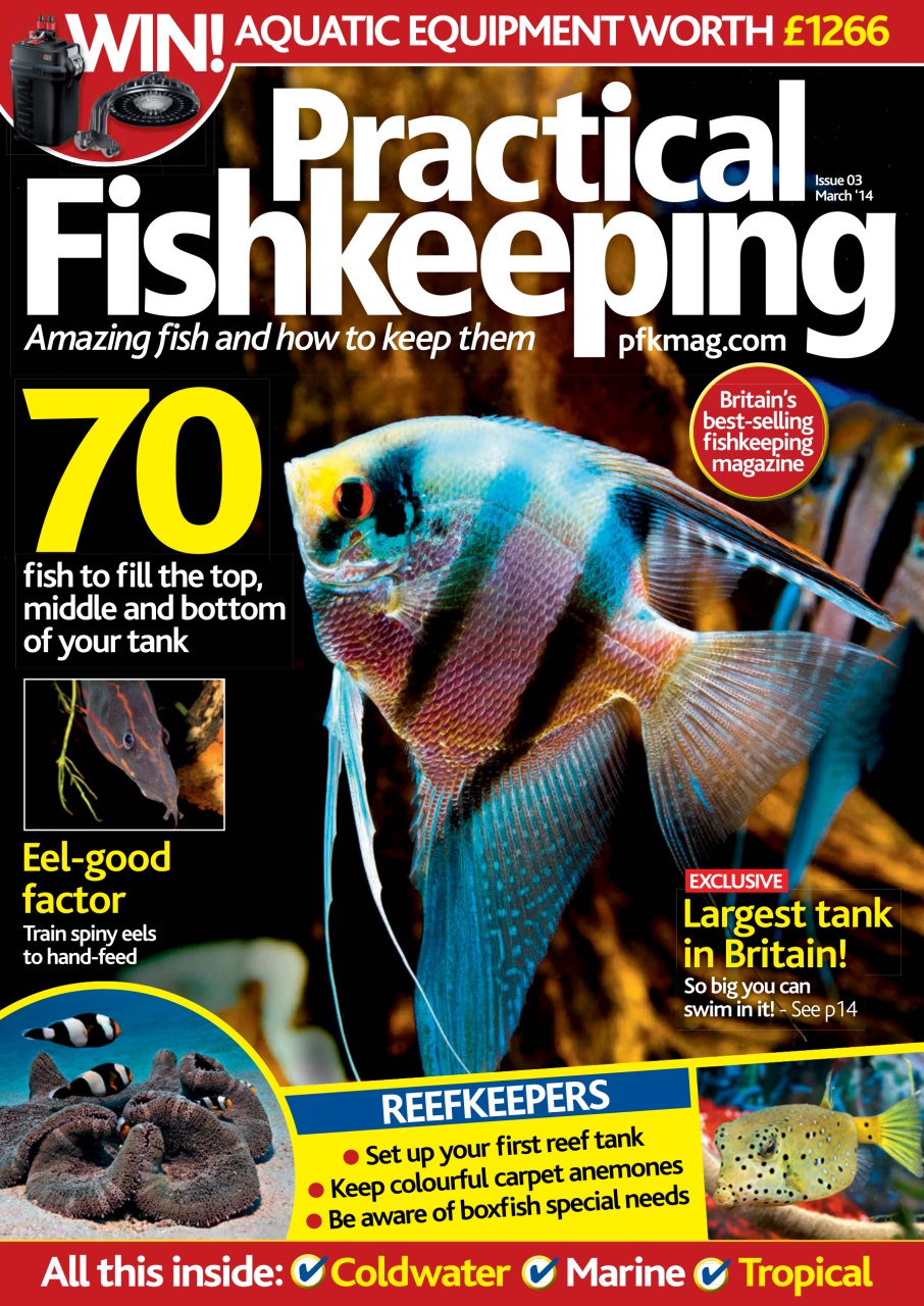 Practical Fishkeeping Preview Pages