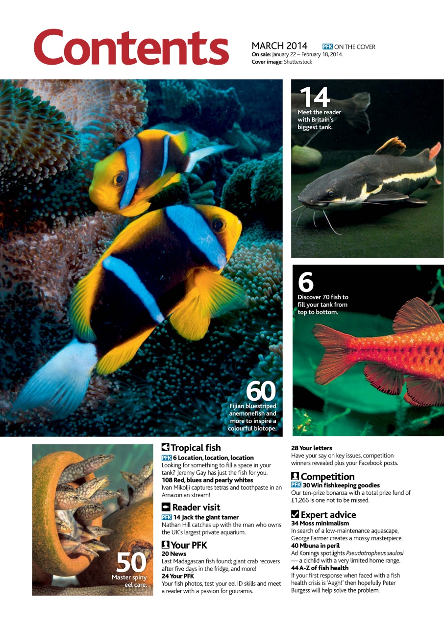 Practical Fishkeeping Preview Pages