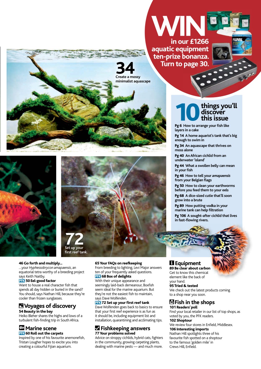 Practical Fishkeeping Preview Pages