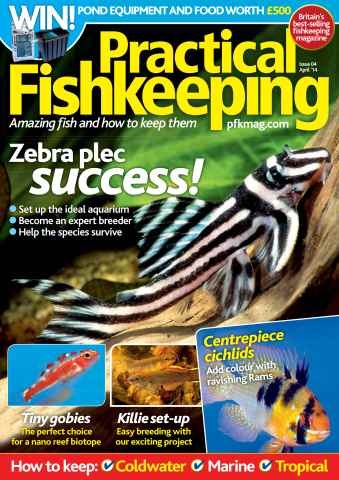 Practical Fishkeeping issue April 2014
