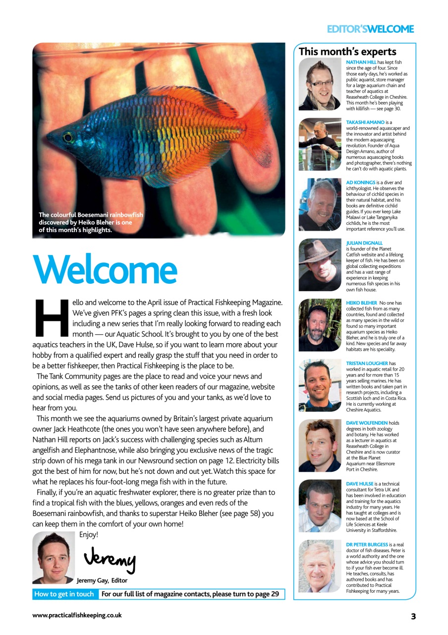 Practical Fishkeeping Preview Pages
