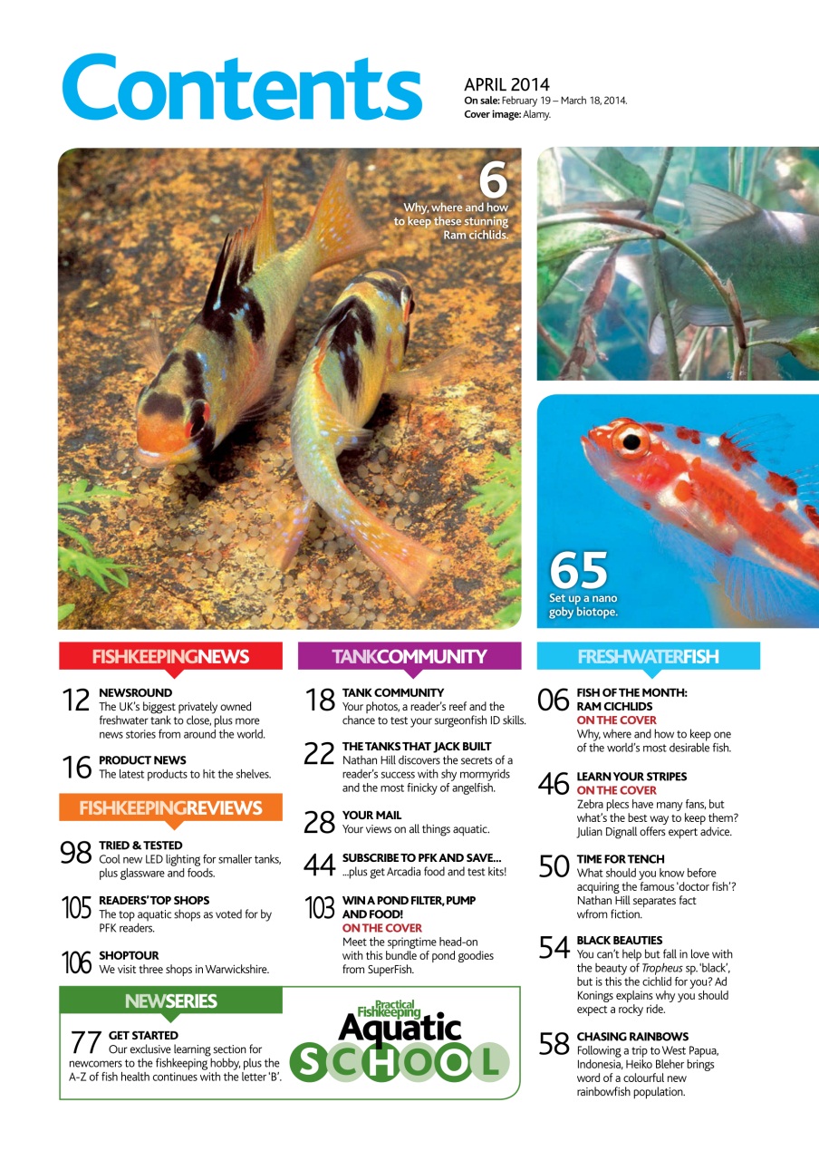 Practical Fishkeeping Preview Pages