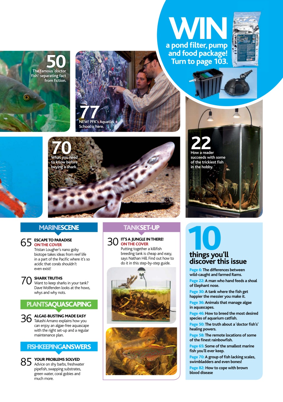 Practical Fishkeeping Preview Pages