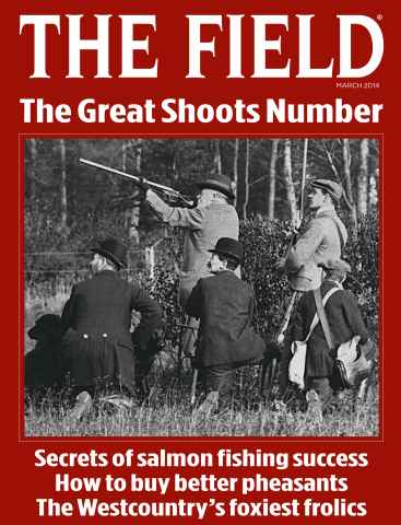 The Field issue March 2014