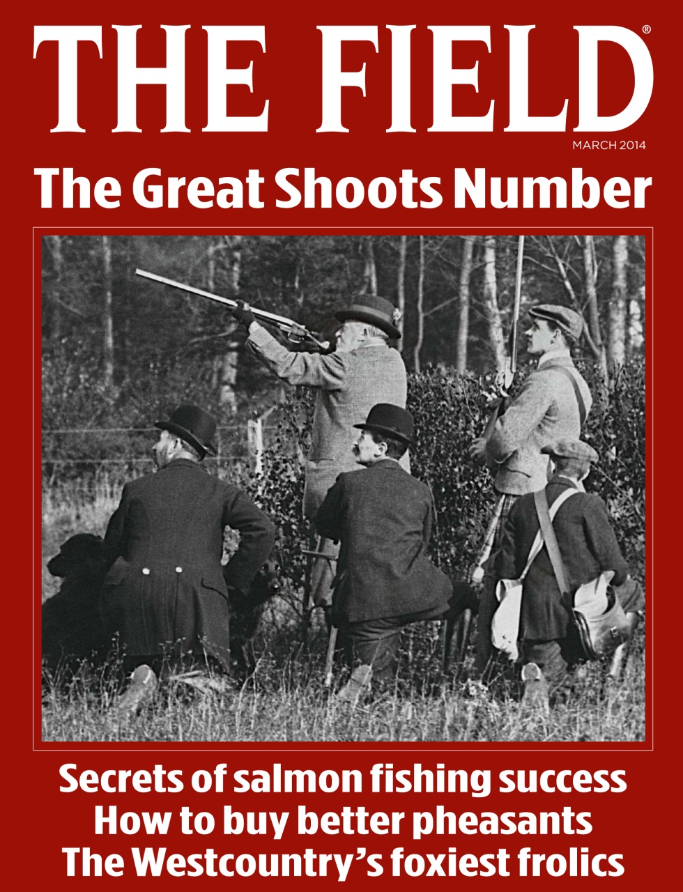 The Field Preview Pages