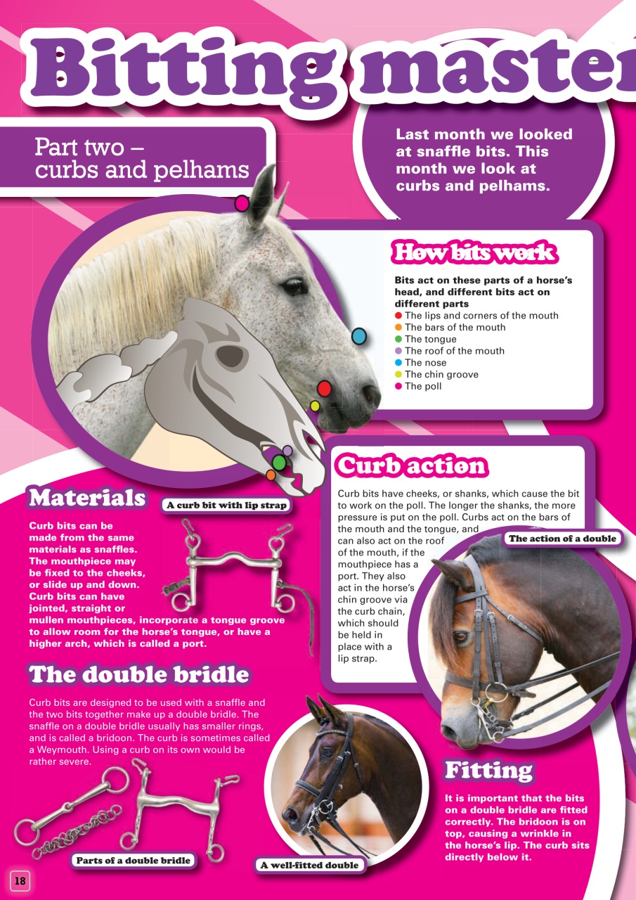 Pony Magazine Preview Pages