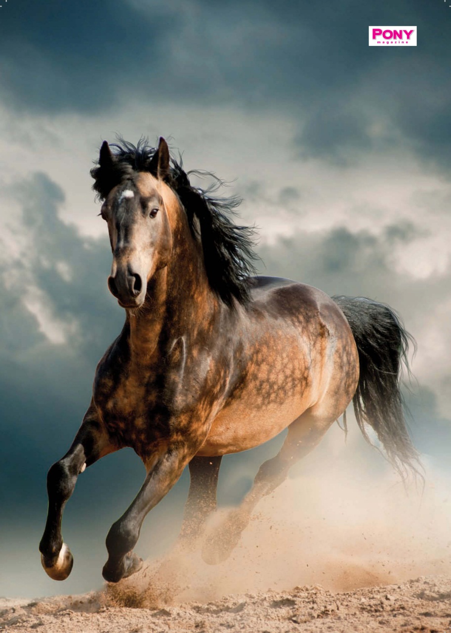 Pony Magazine Preview Pages