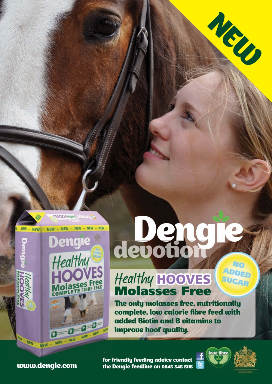 Horse&Rider Magazine - UK equestrian magazine for Horse and Rider Preview Pages