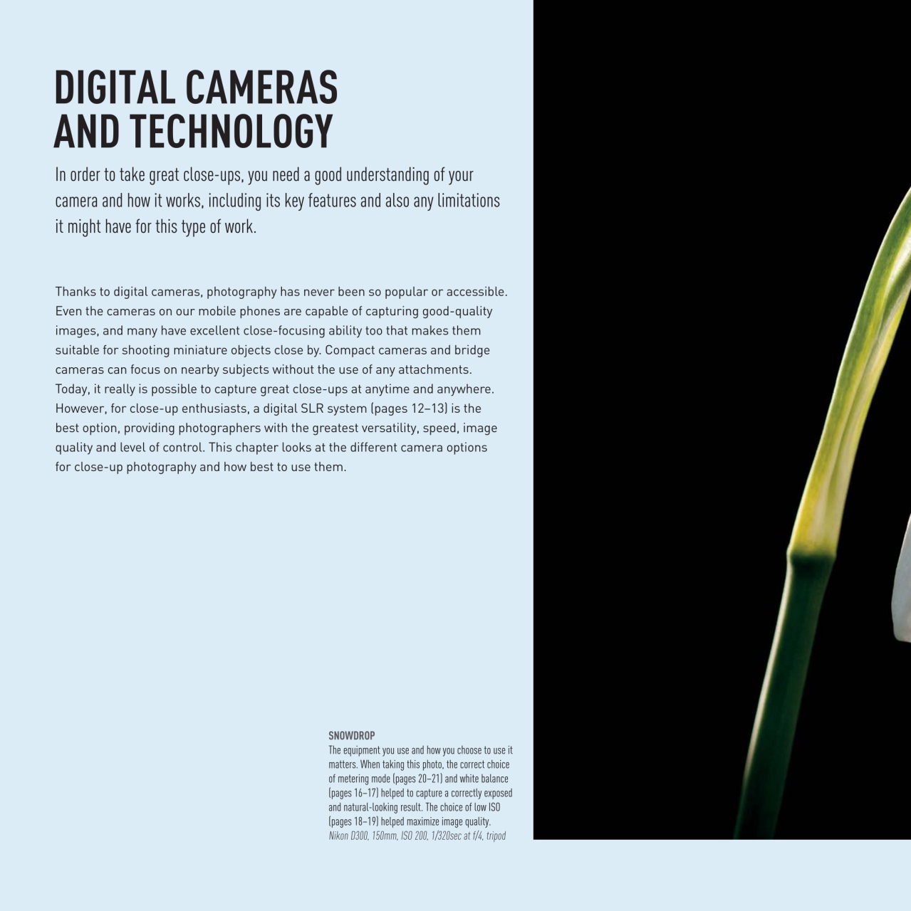 Outdoor Photography Preview Pages