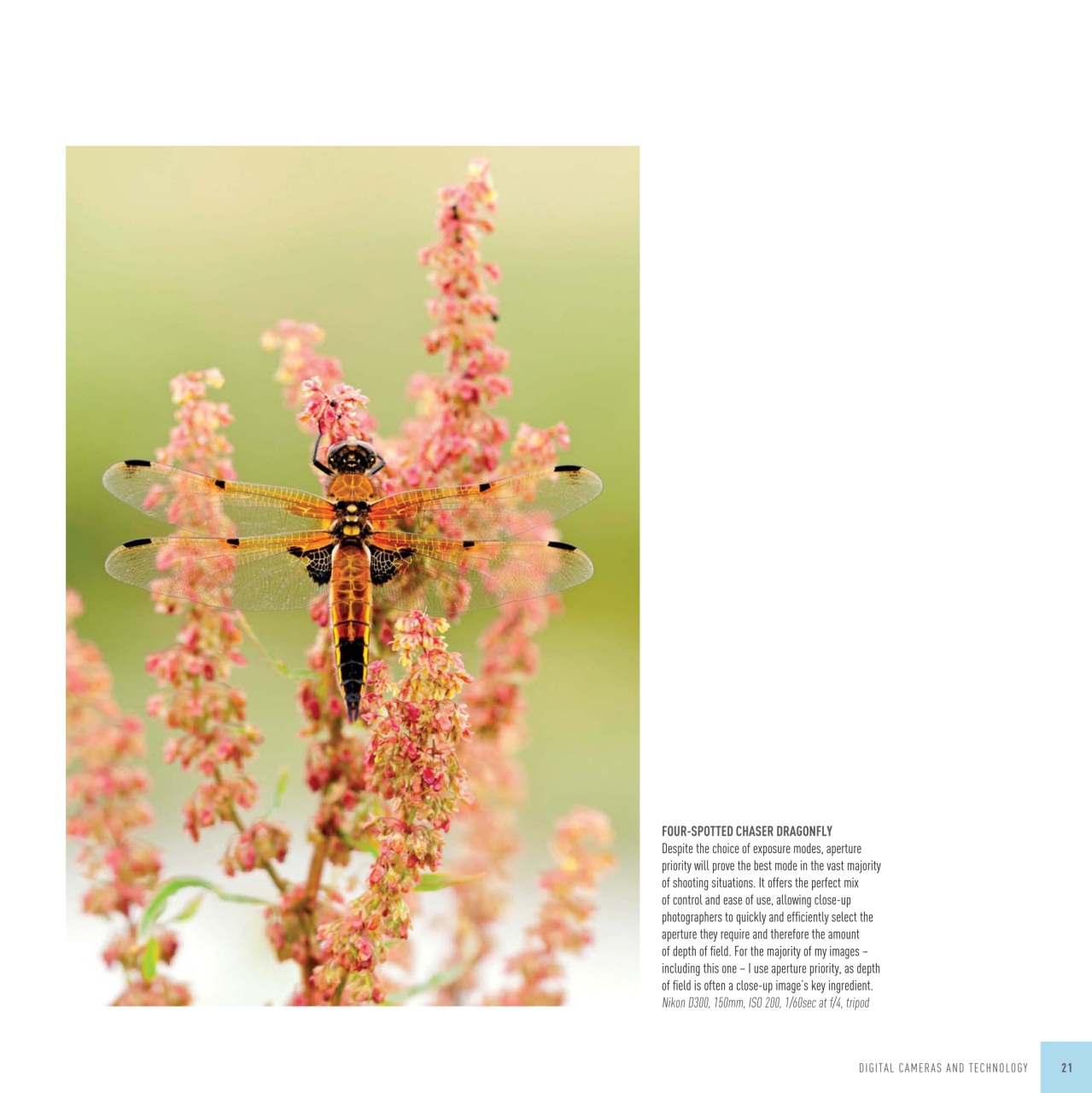 Outdoor Photography Preview Pages