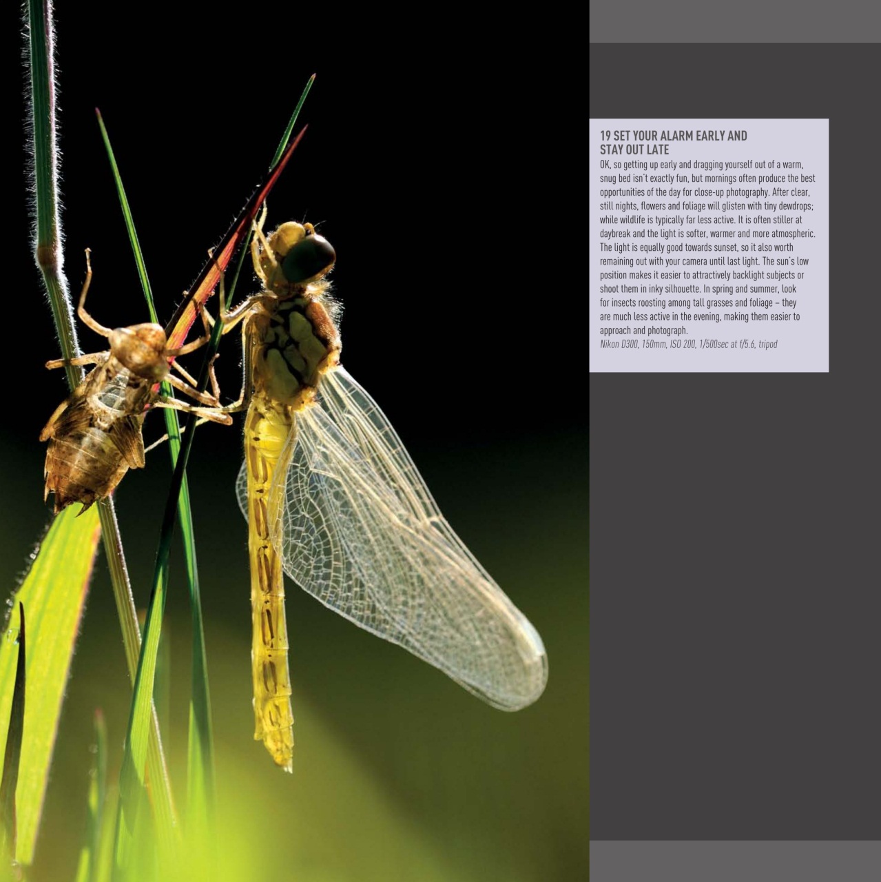 Outdoor Photography Preview Pages