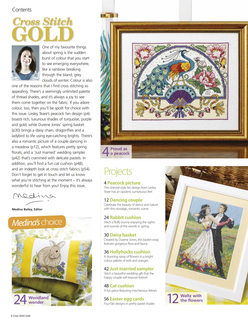 Cross Stitch Gold Preview Pages