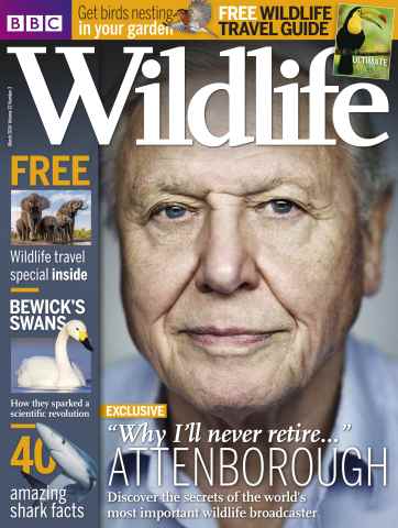 BBC Wildlife Magazine issue March 2014