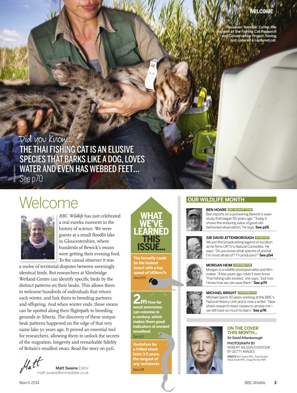 BBC Wildlife Magazine Preview Pages