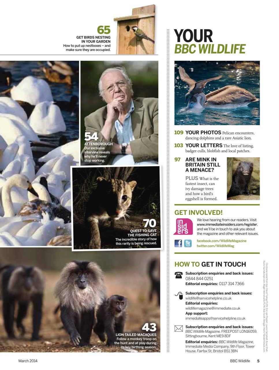 BBC Wildlife Magazine Preview Pages