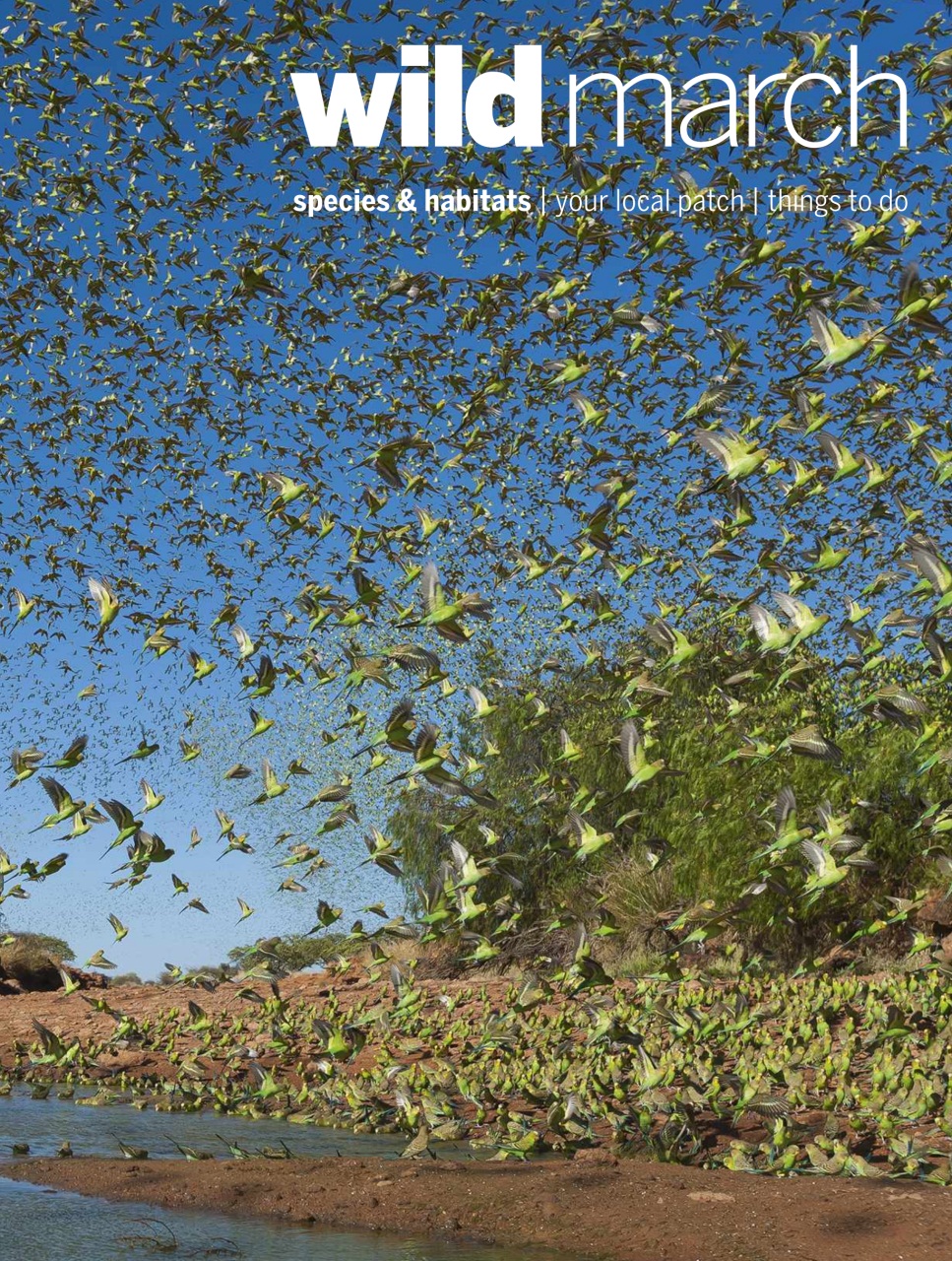 BBC Wildlife Magazine Preview Pages