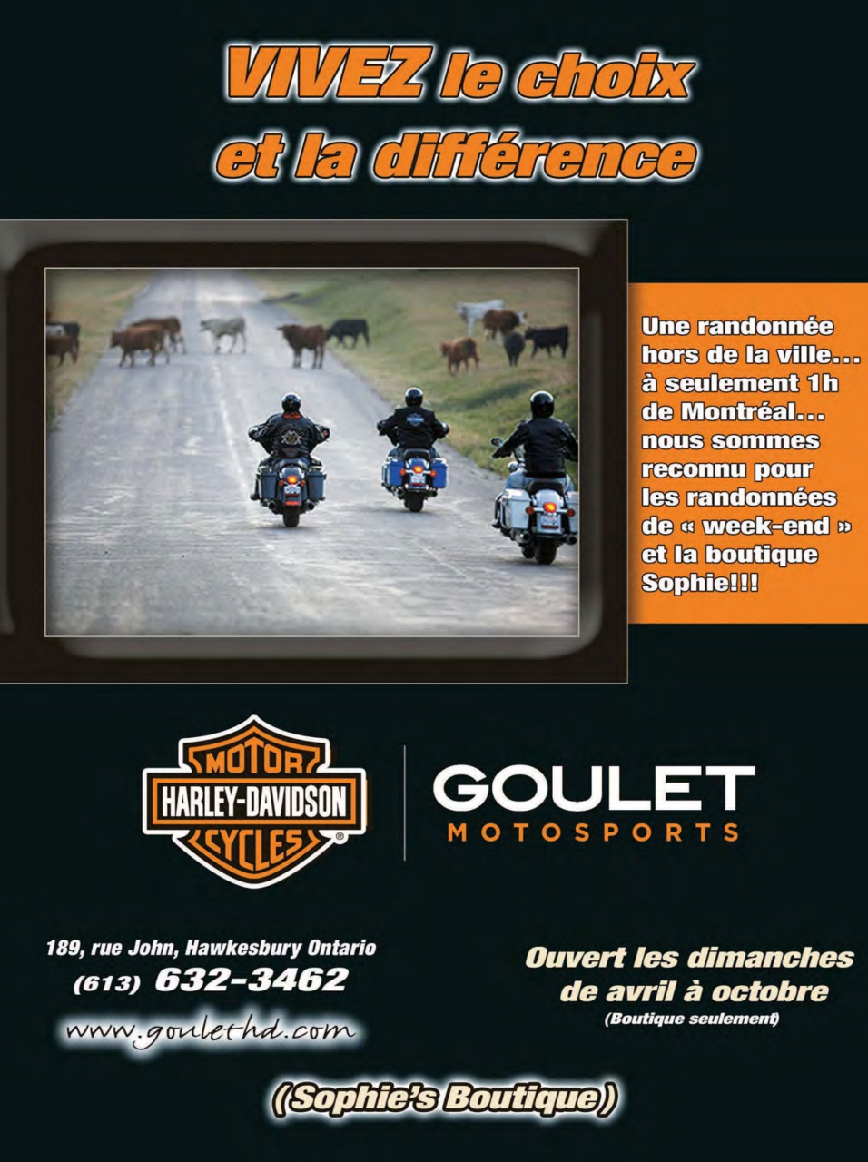 Custom Tour Preview Pages