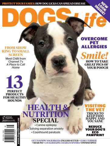Dogs Life issue March/April Issue#124