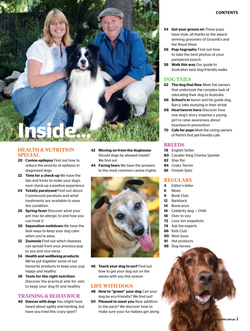 Dogs Life Preview Pages
