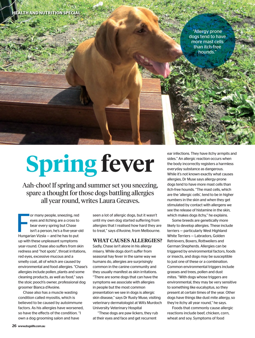 Dogs Life Preview Pages