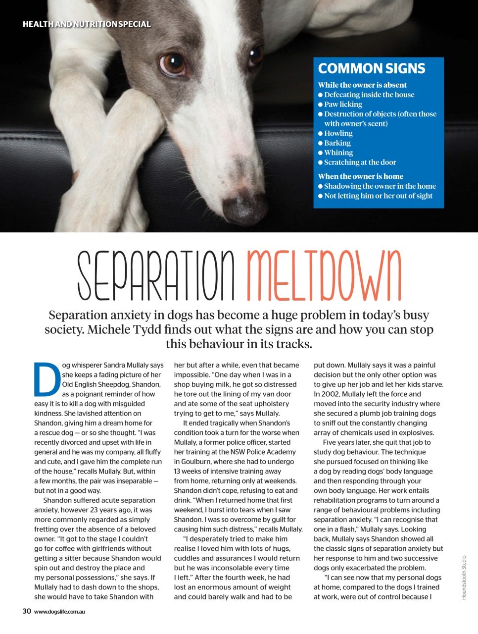Dogs Life Preview Pages