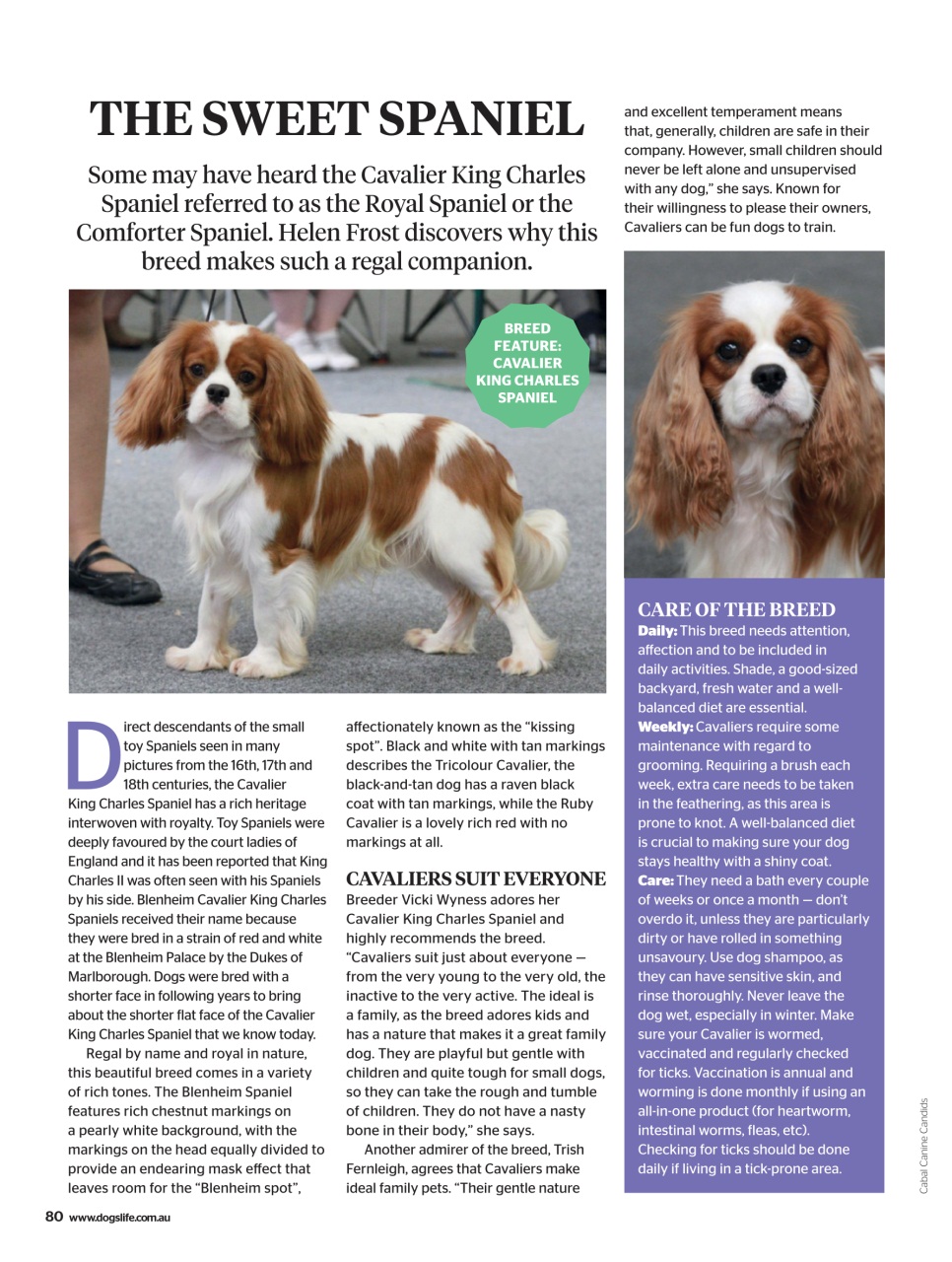 Dogs Life Preview Pages