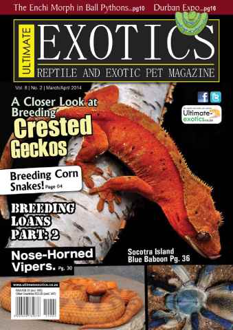 Ultimate Exotics issue MarchApril 2014