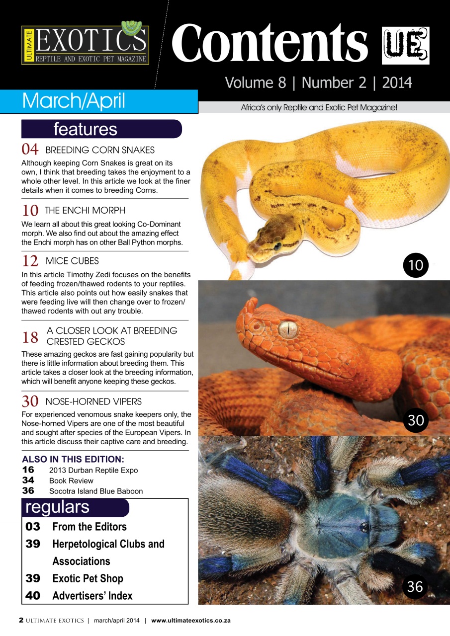 Ultimate Exotics Preview Pages