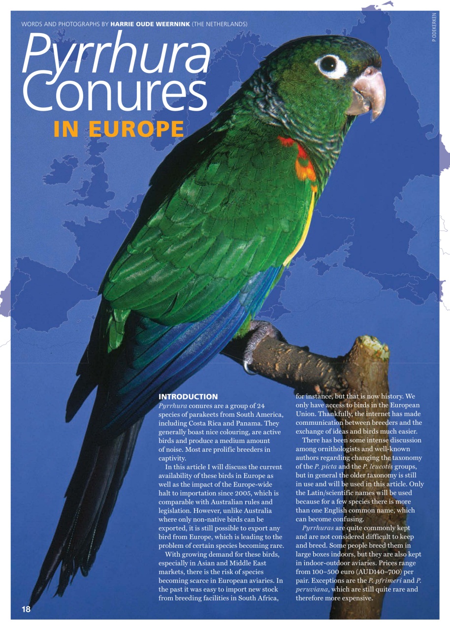 Australian Birdkeeper Magazine Preview Pages