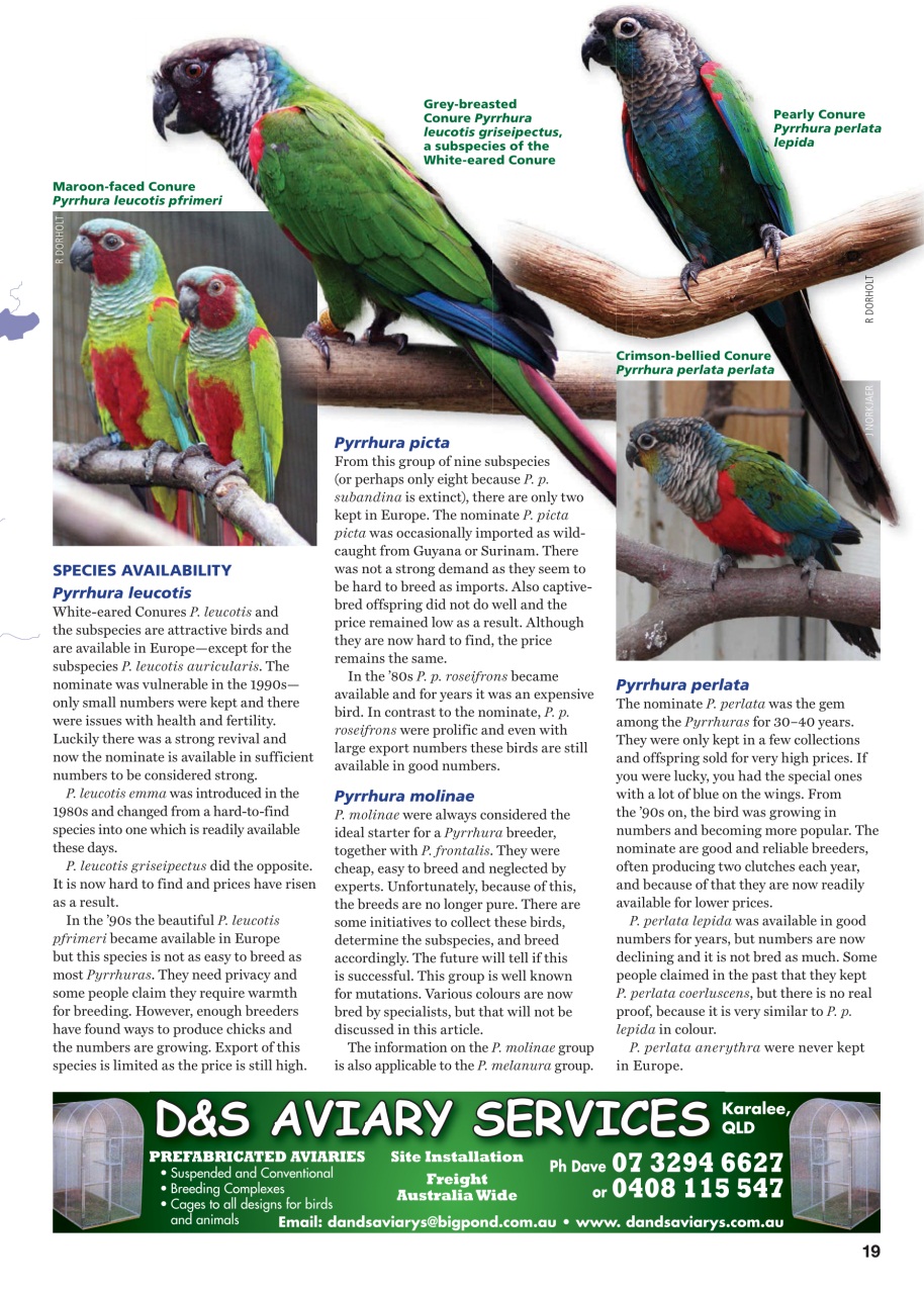 Australian Birdkeeper Magazine Preview Pages