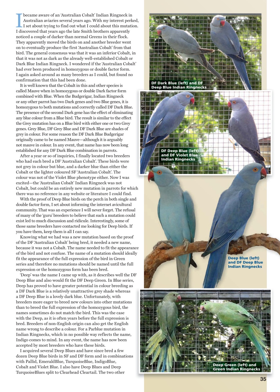Australian Birdkeeper Magazine Preview Pages