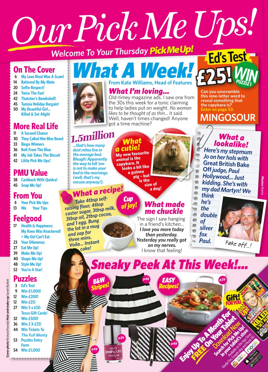 Pick Me Up Preview Pages