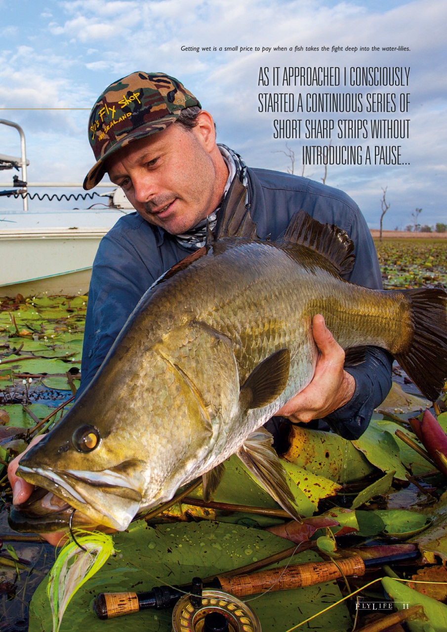 FlyLife Preview Pages