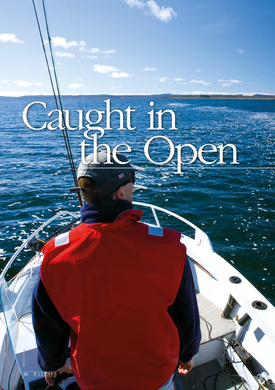 FlyLife Preview Pages