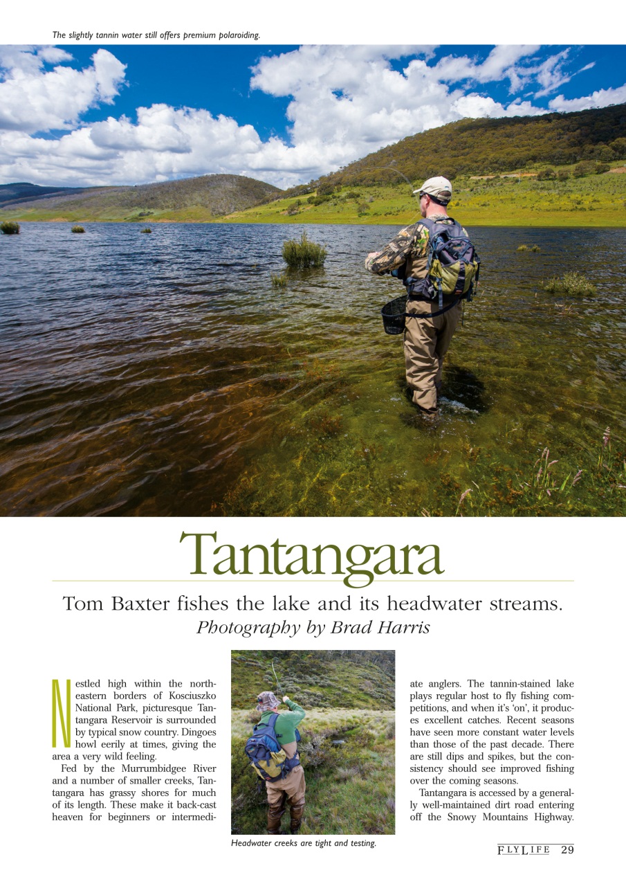 FlyLife Preview Pages