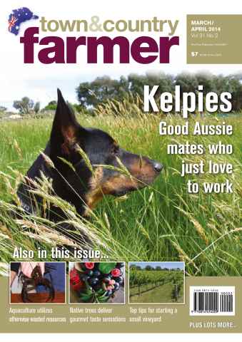 Town And Country Farmer issue Town & Country Farmer - MarchApril 2014