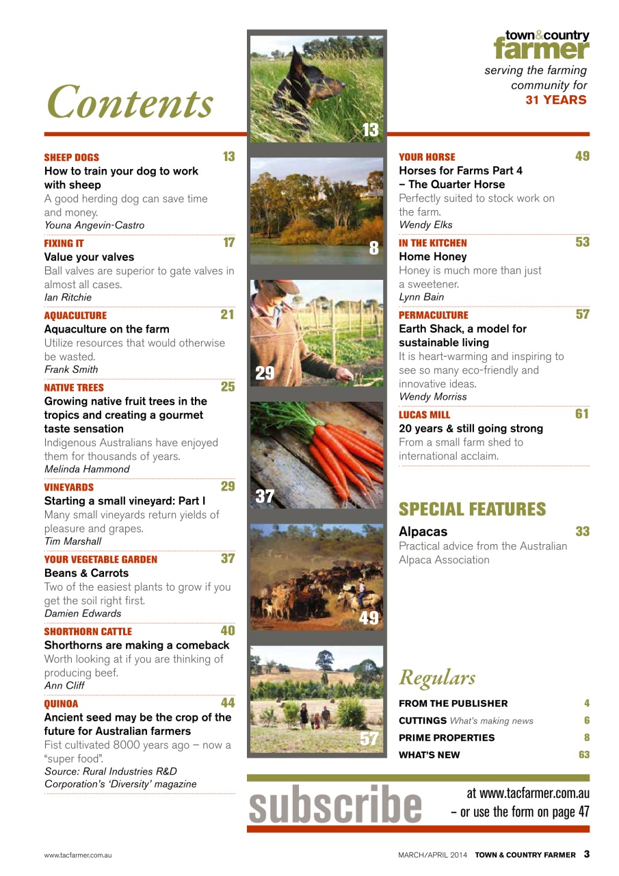 Town And Country Farmer Preview Pages