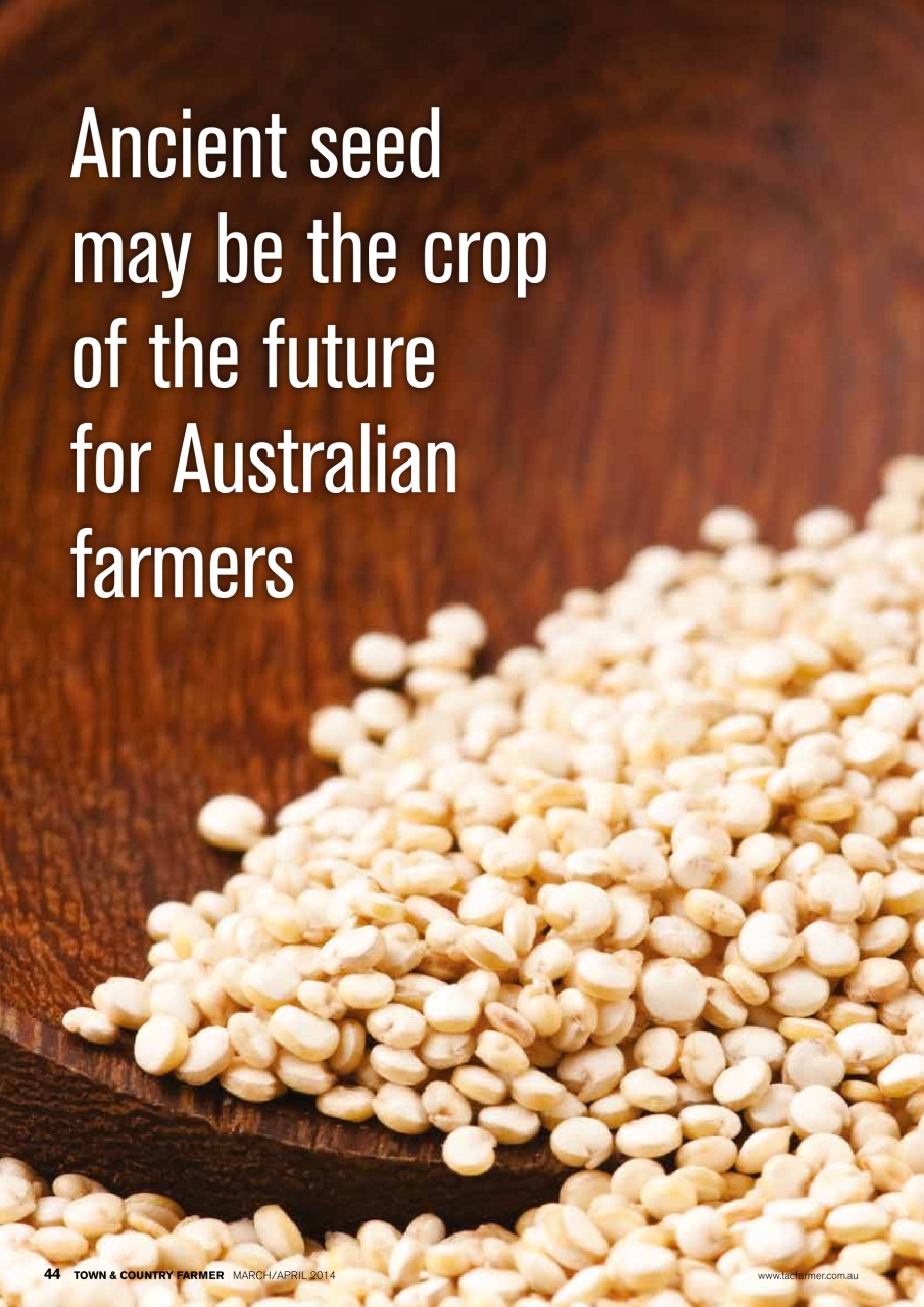 Town And Country Farmer Preview Pages