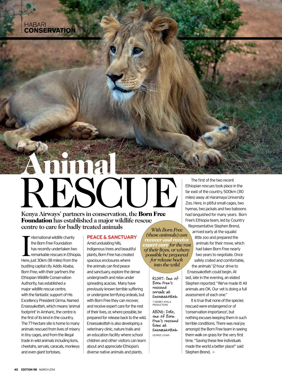 MSAFIRI – Kenya Airways Inflight Preview Pages